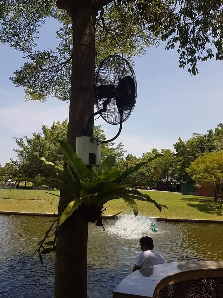 มาครั้งใดก็เย็นสบายกับบรรยากาศ นอกจากได้บุญแล้ว ได้ถ่ายรูปกับมุมต่างๆที่ร่มรื่น และอิ่มอร่อย กับราดหน้า